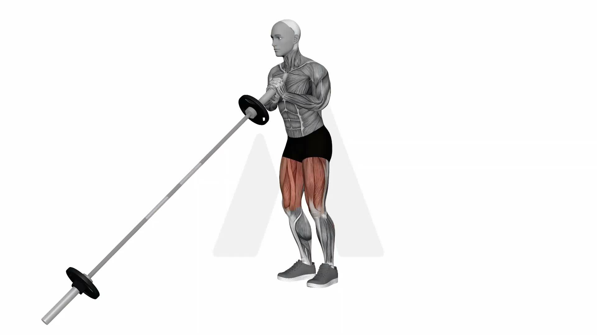 Landmine Goblet Curtsy Lunge exercise demonstration