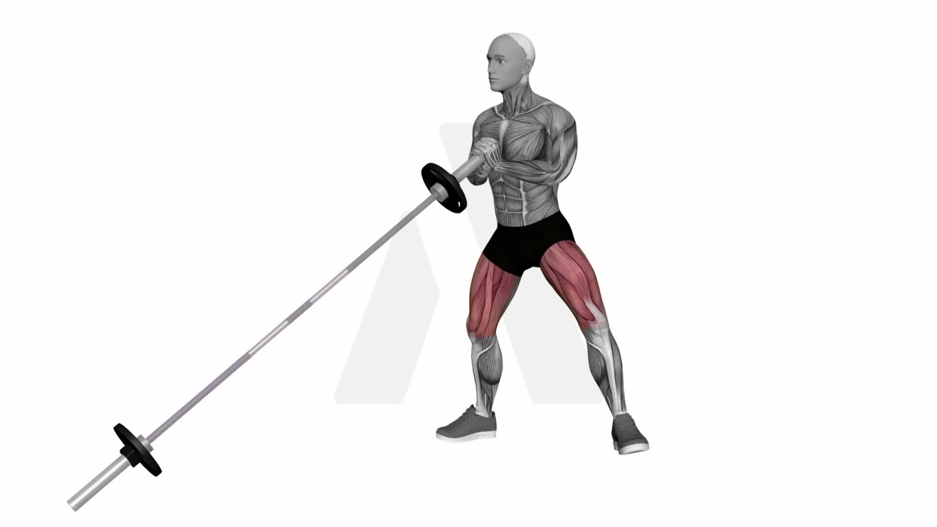 Landmine Goblet Lateral Lunge exercise demonstration