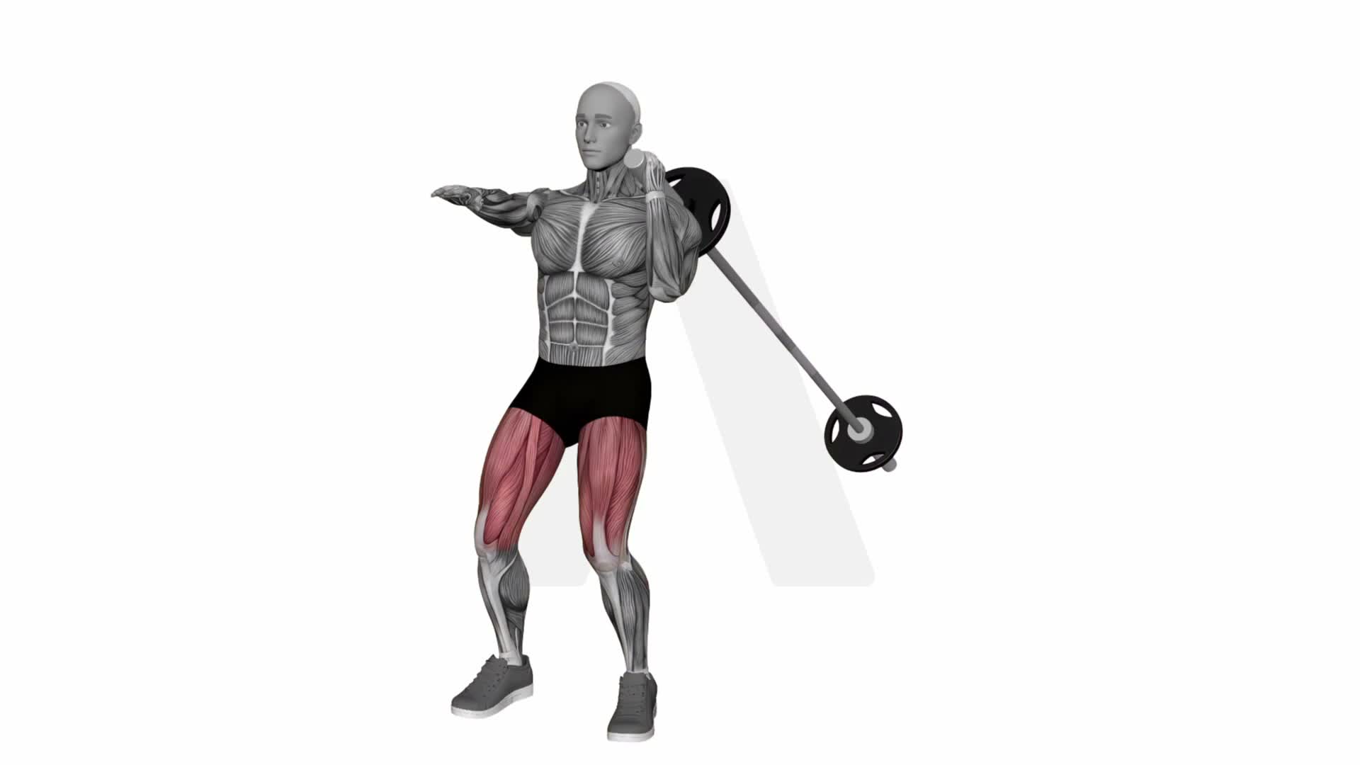Landmine Hack Squat exercise demonstration