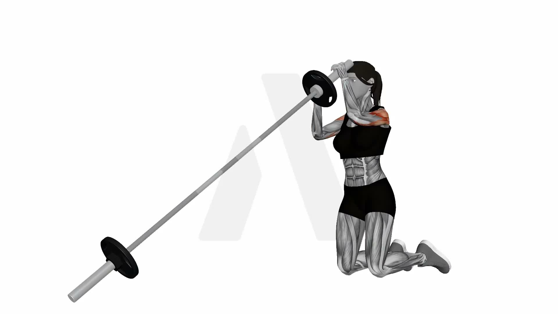Landmine Kneeling Alternating Overhead Press exercise demonstration
