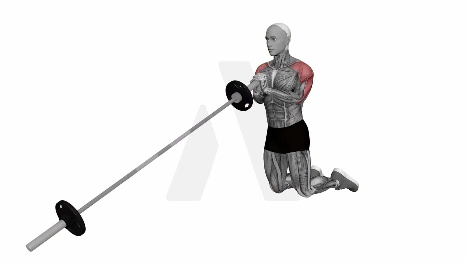 Landmine Kneeling Overhead Press exercise demonstration
