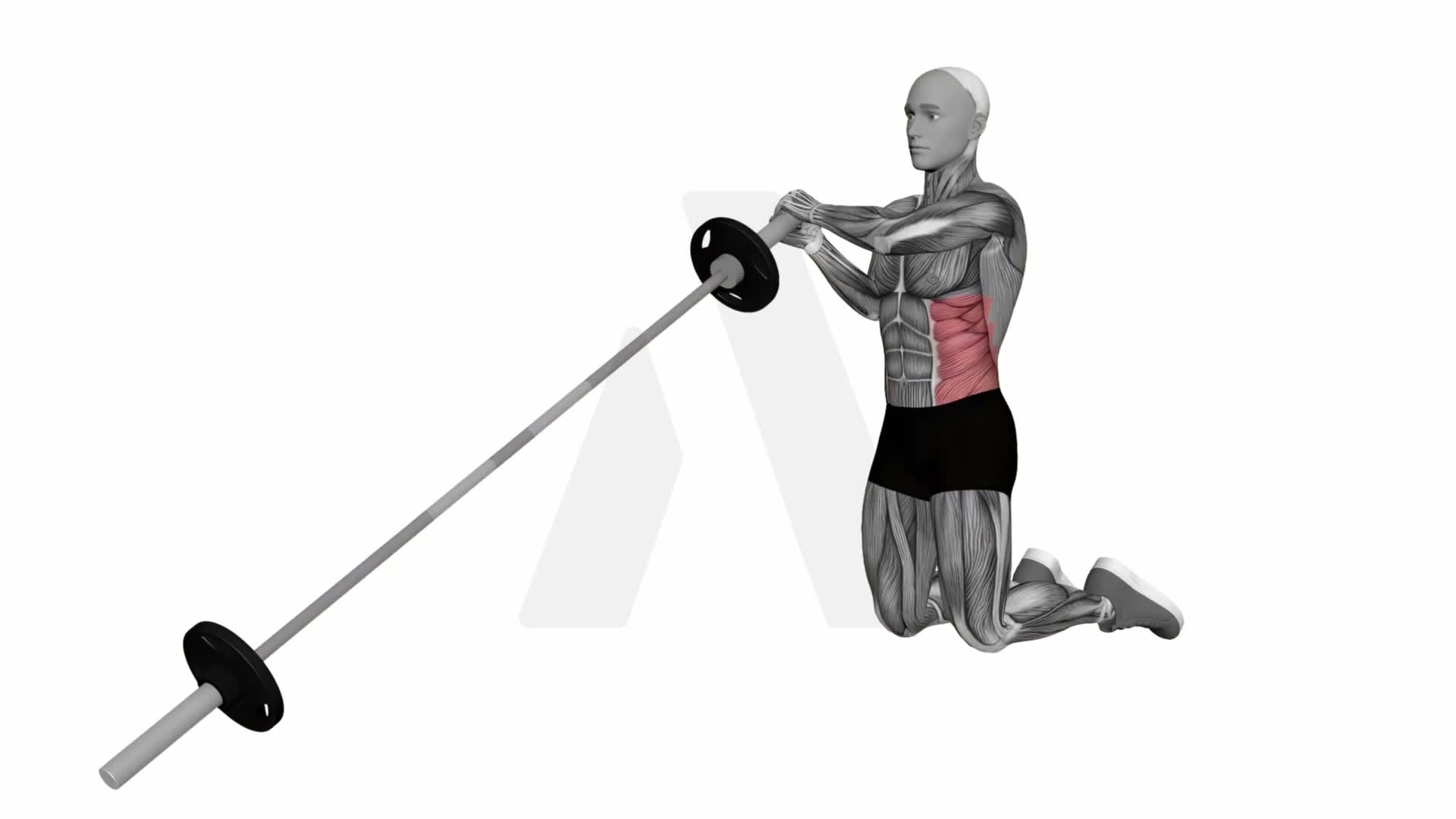 Landmine Kneeling Twist exercise demonstration