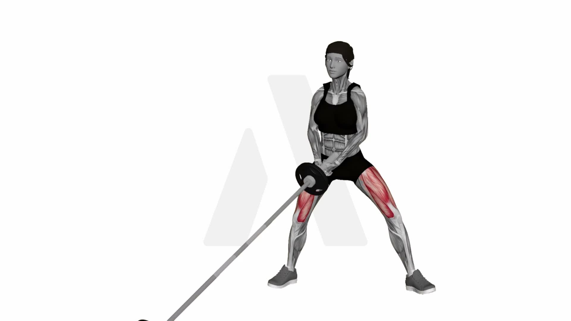 Landmine Lateral Lunge exercise demonstration