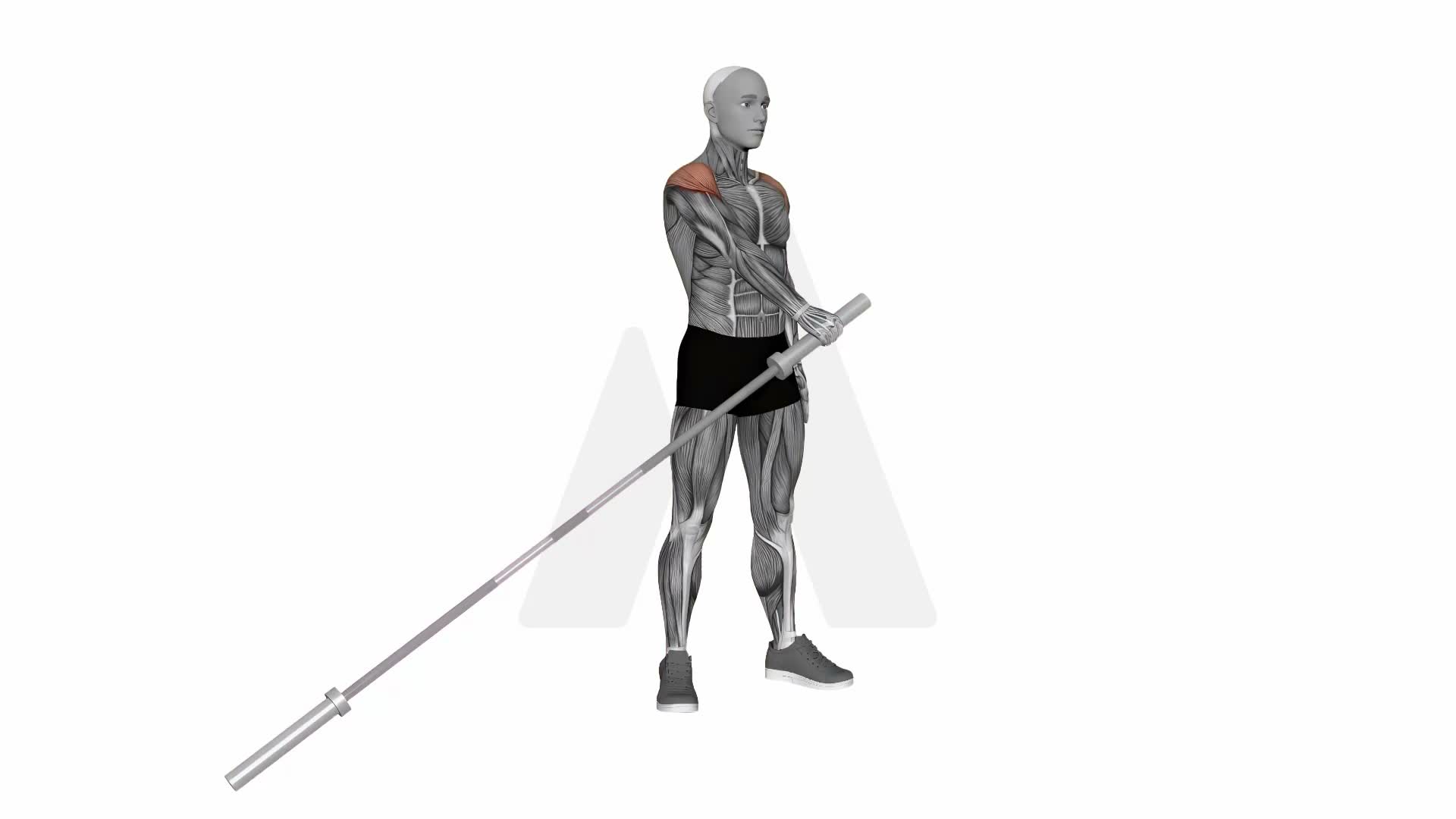 Landmine Lateral Raise exercise demonstration