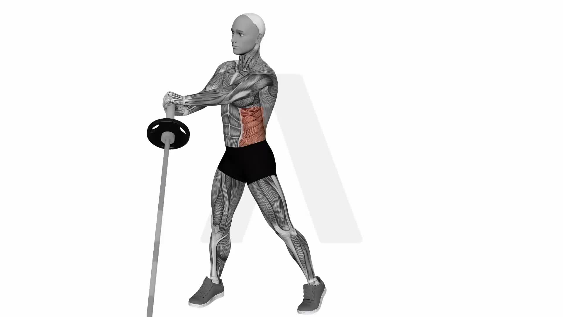 Landmine Oblique Twist exercise demonstration