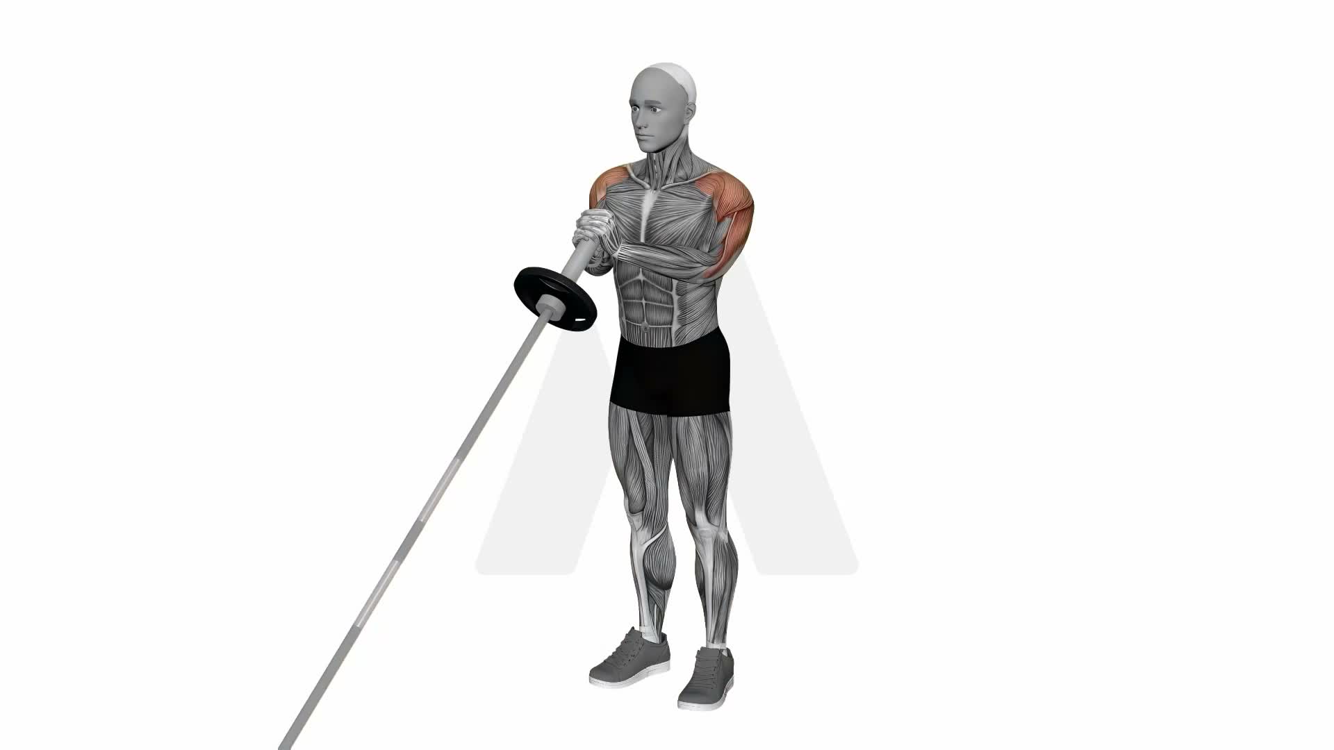 Landmine Overhead Press exercise demonstration