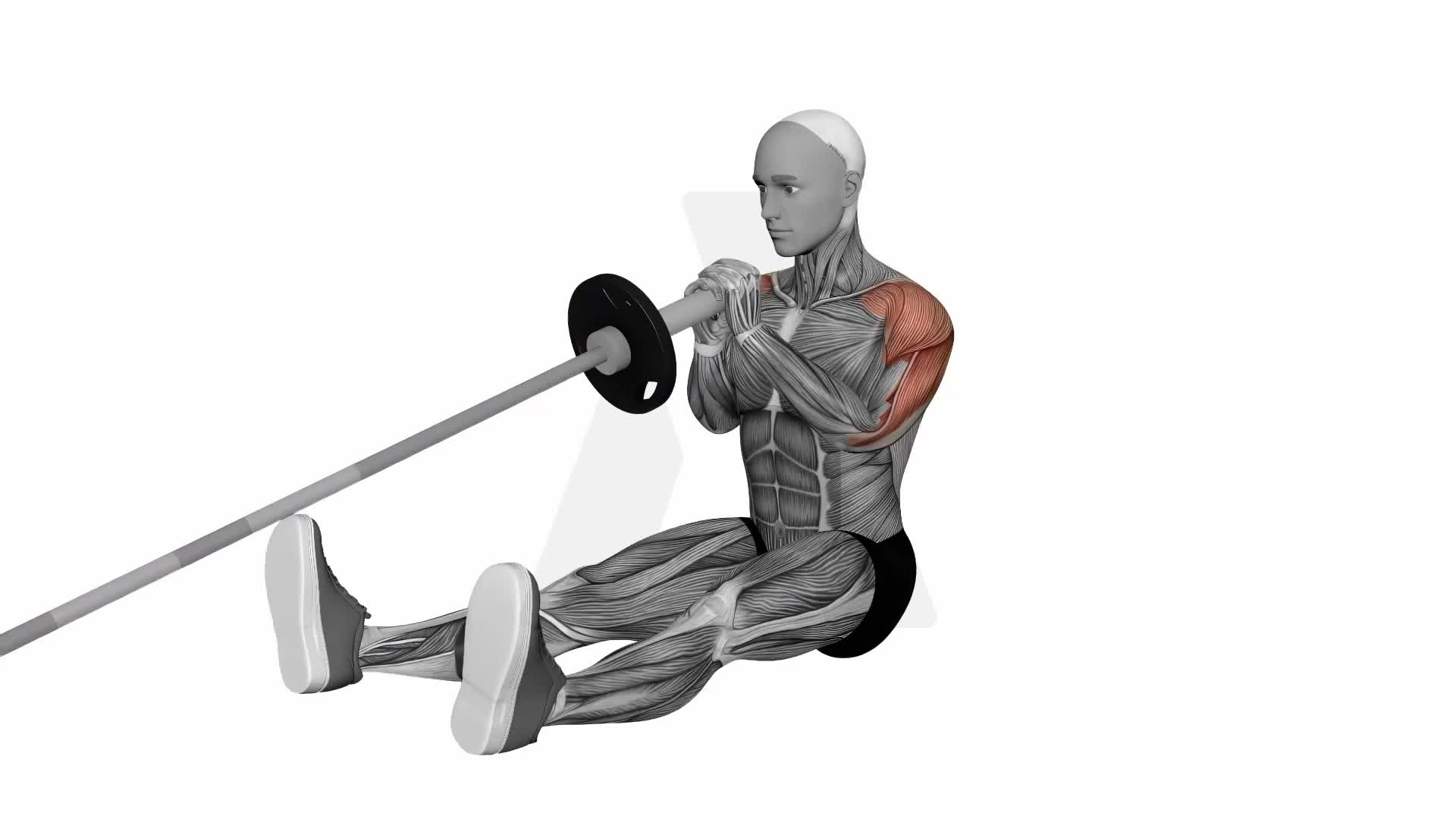 Landmine Seated Overhead Press exercise demonstration