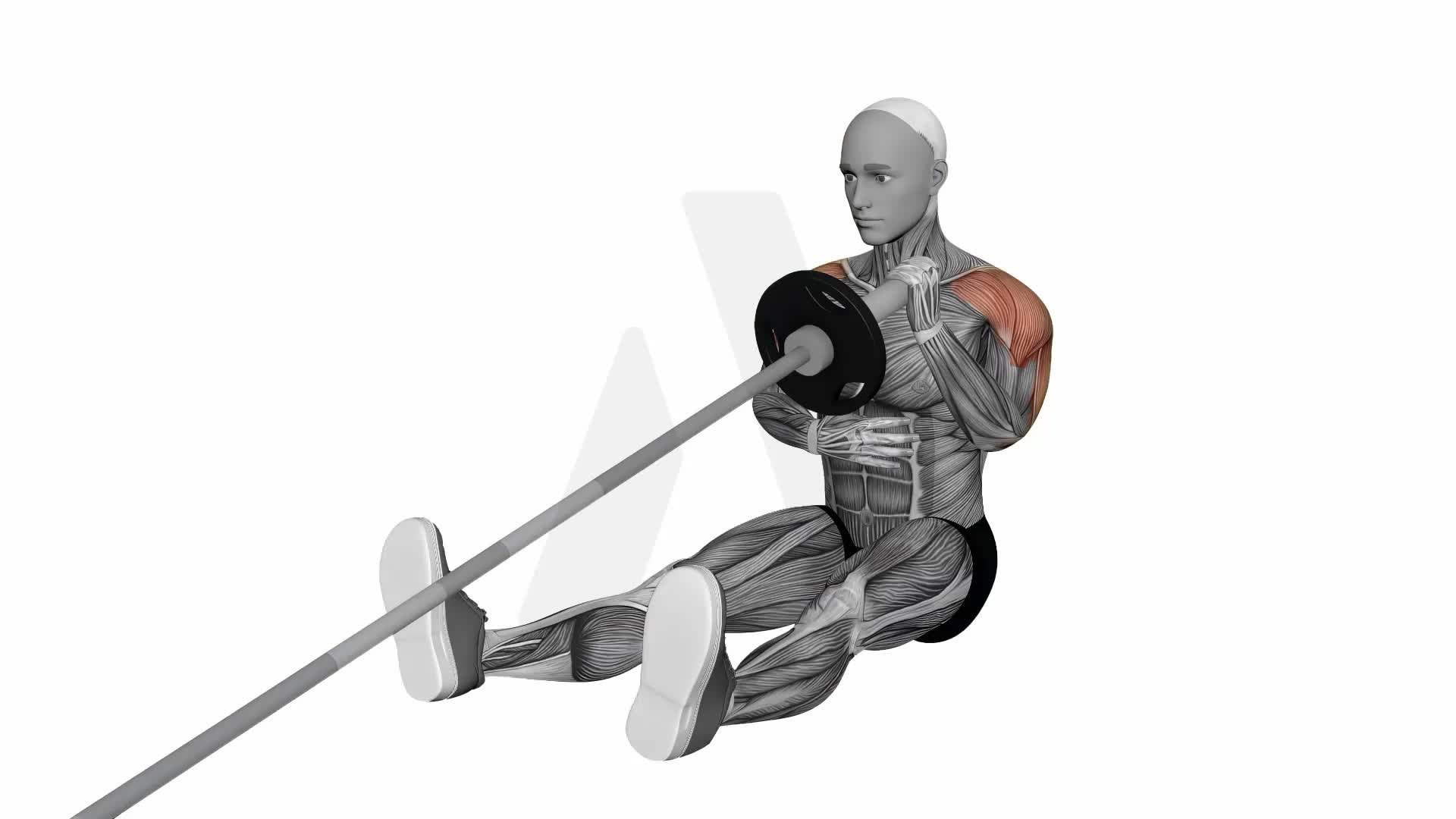 Landmine Seated Single Arm Overhead Press exercise demonstration