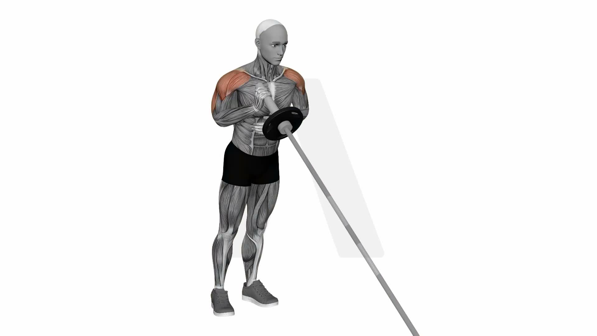 Landmine Single Arm Push Press exercise demonstration