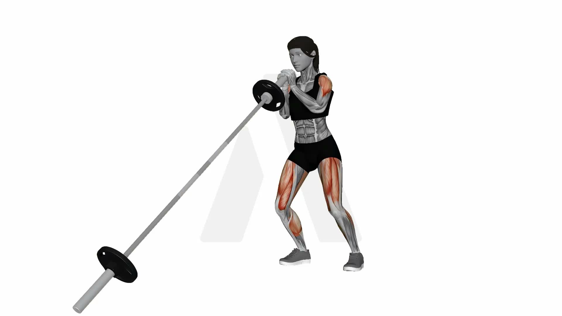 Landmine Squat And Press exercise demonstration