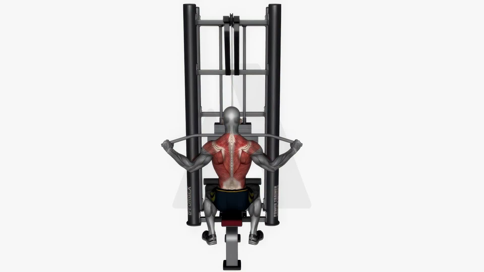 Lat Pull Down Wide Grip exercise demonstration