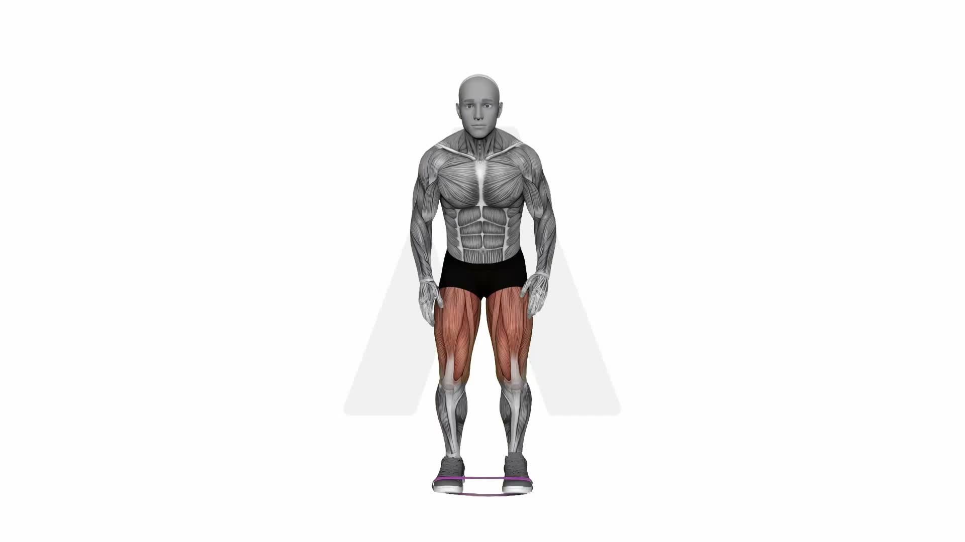 Lateral Band Walks exercise demonstration