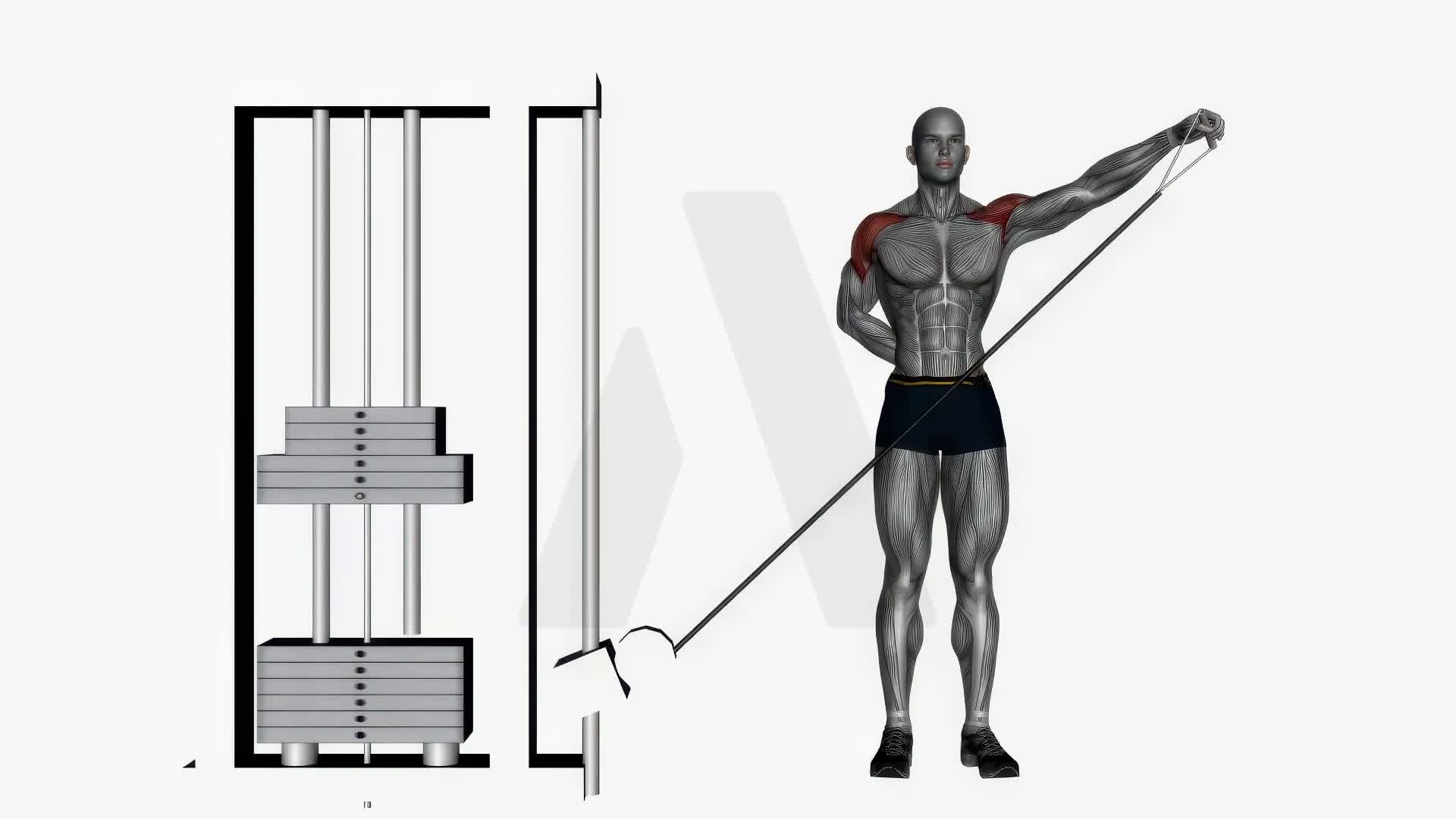 Lateral Raises On Cable Machine exercise demonstration