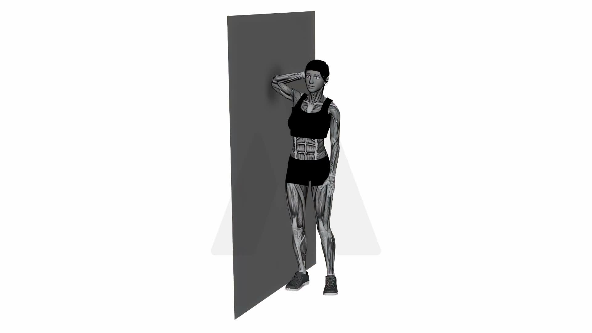Lats Stretch Elbow On Wall exercise demonstration