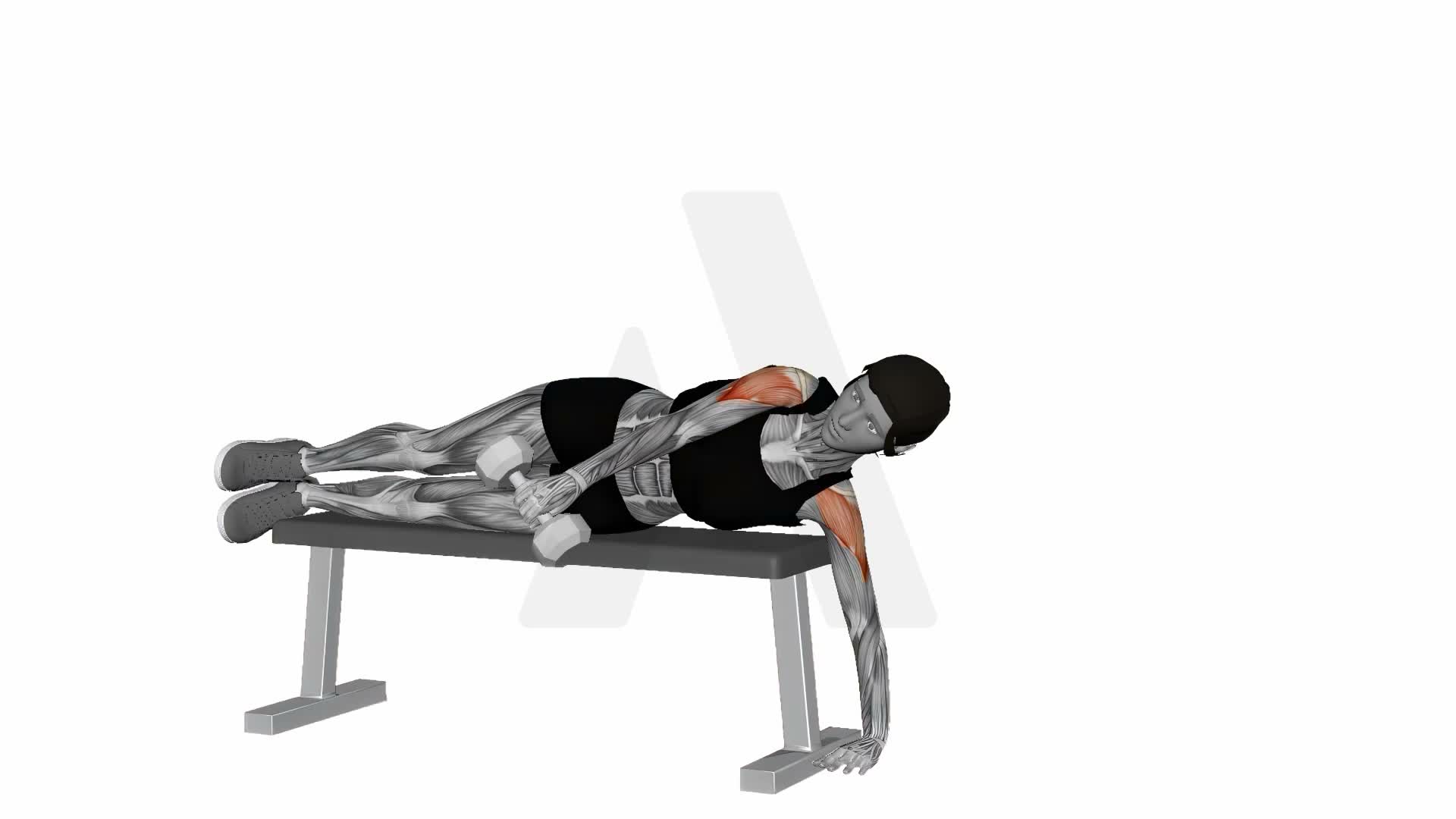 Laying Lateral Raise exercise demonstration