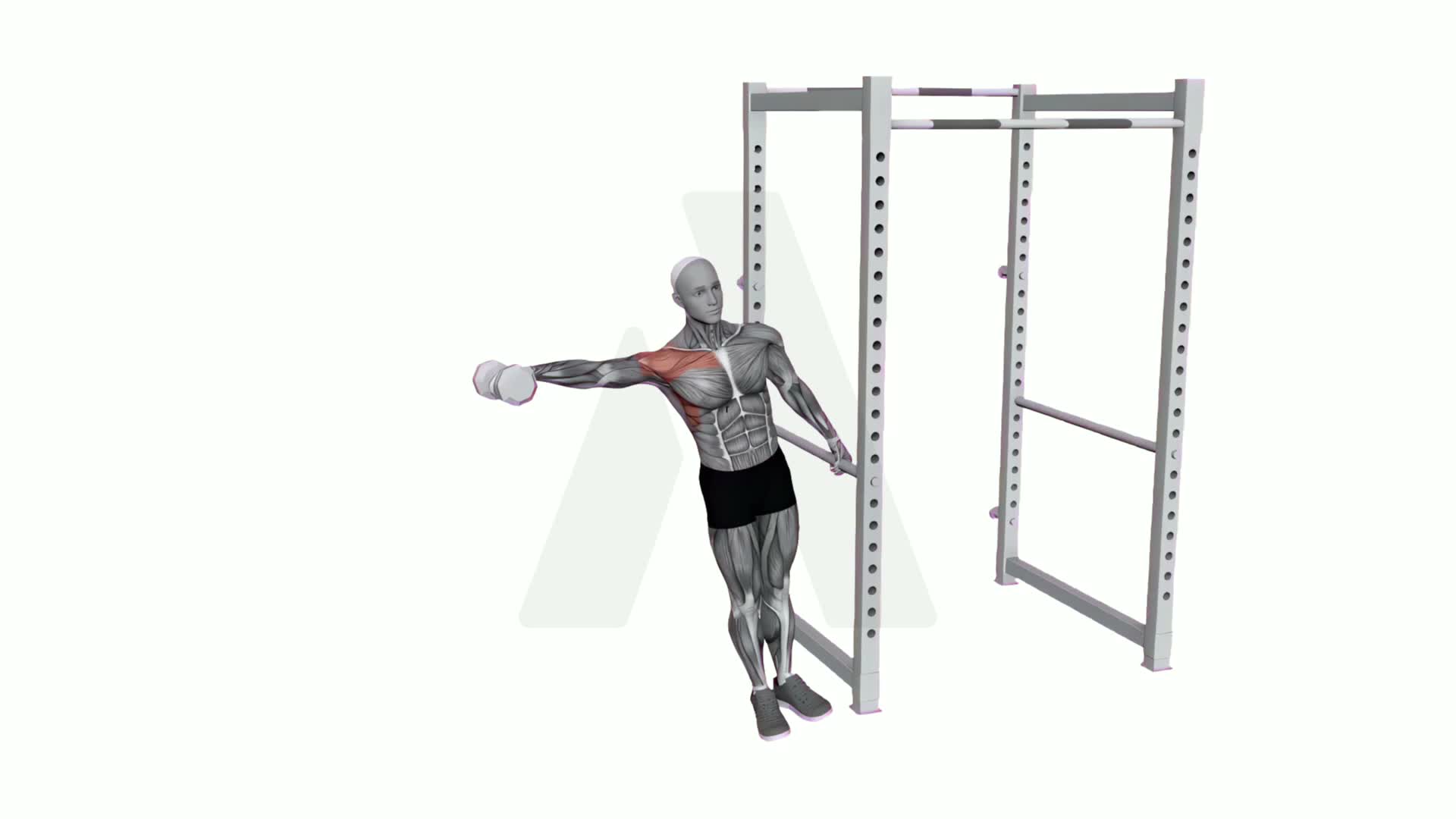 Leaning Dumbbell Lateral Raise exercise demonstration