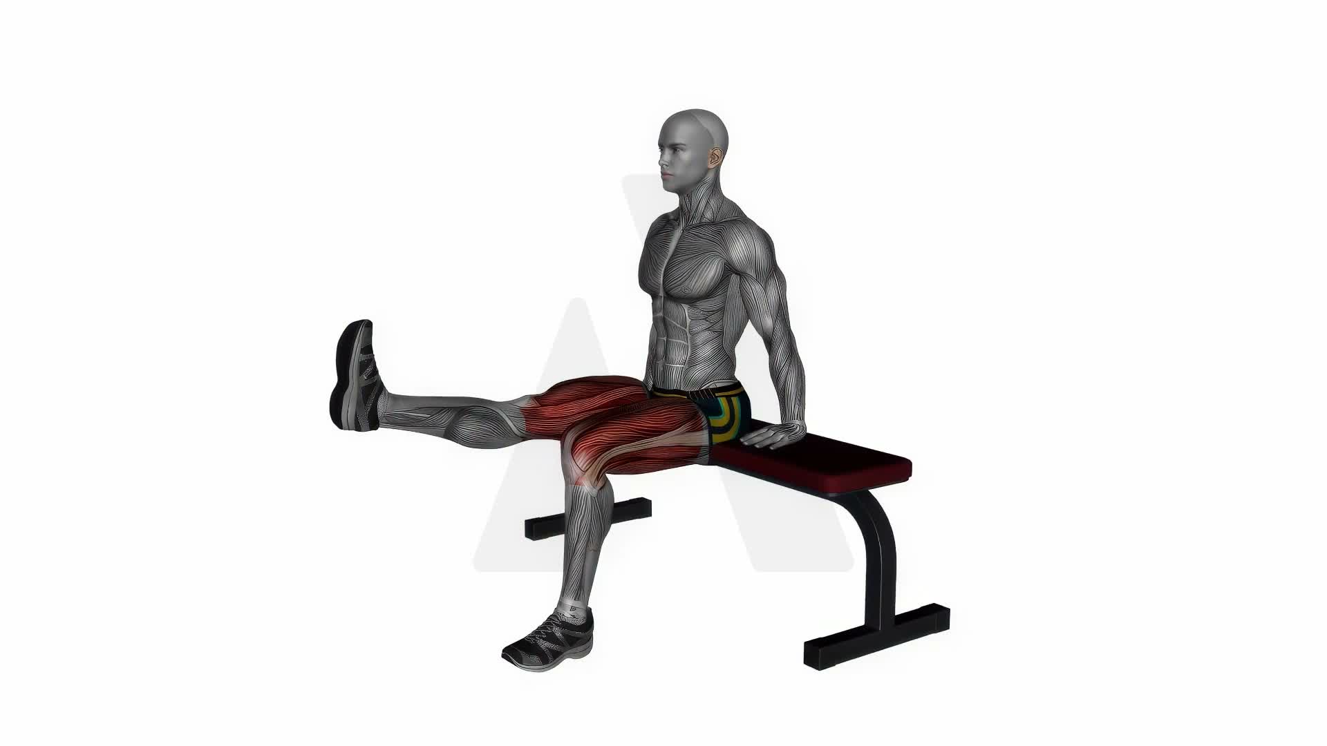 Leg Extended Stretch On Bench exercise demonstration
