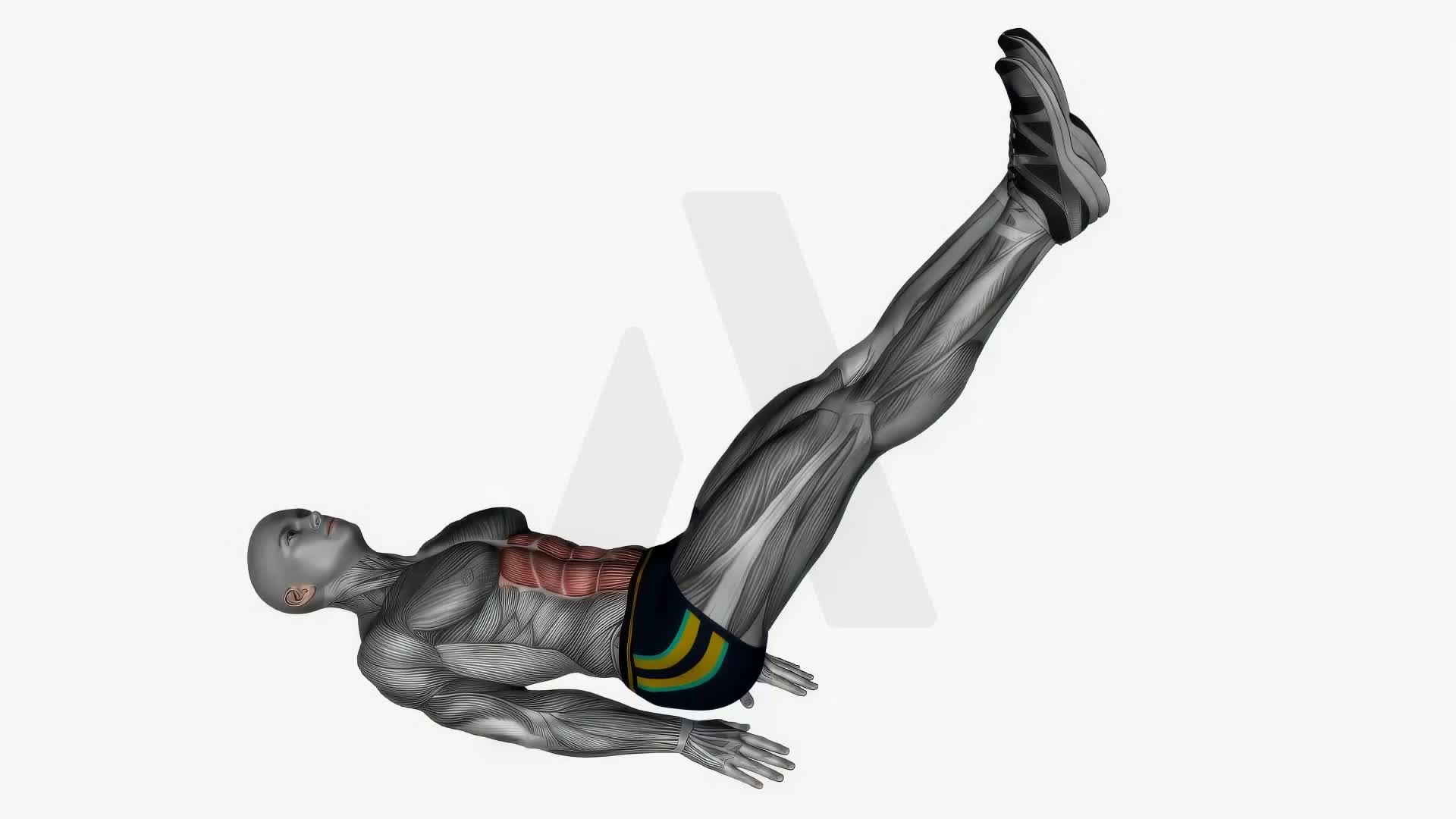 Leg Lift Circles exercise demonstration