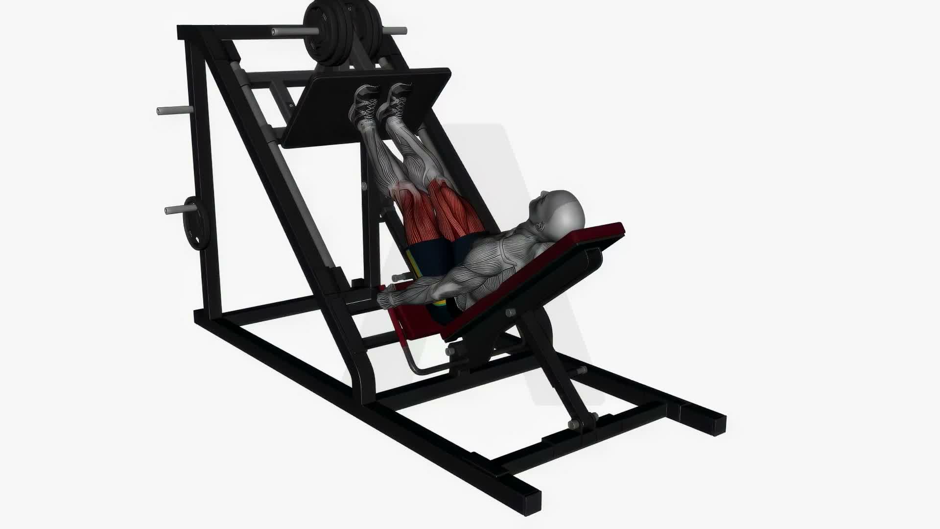 Leg Press Machine Close Stance exercise demonstration