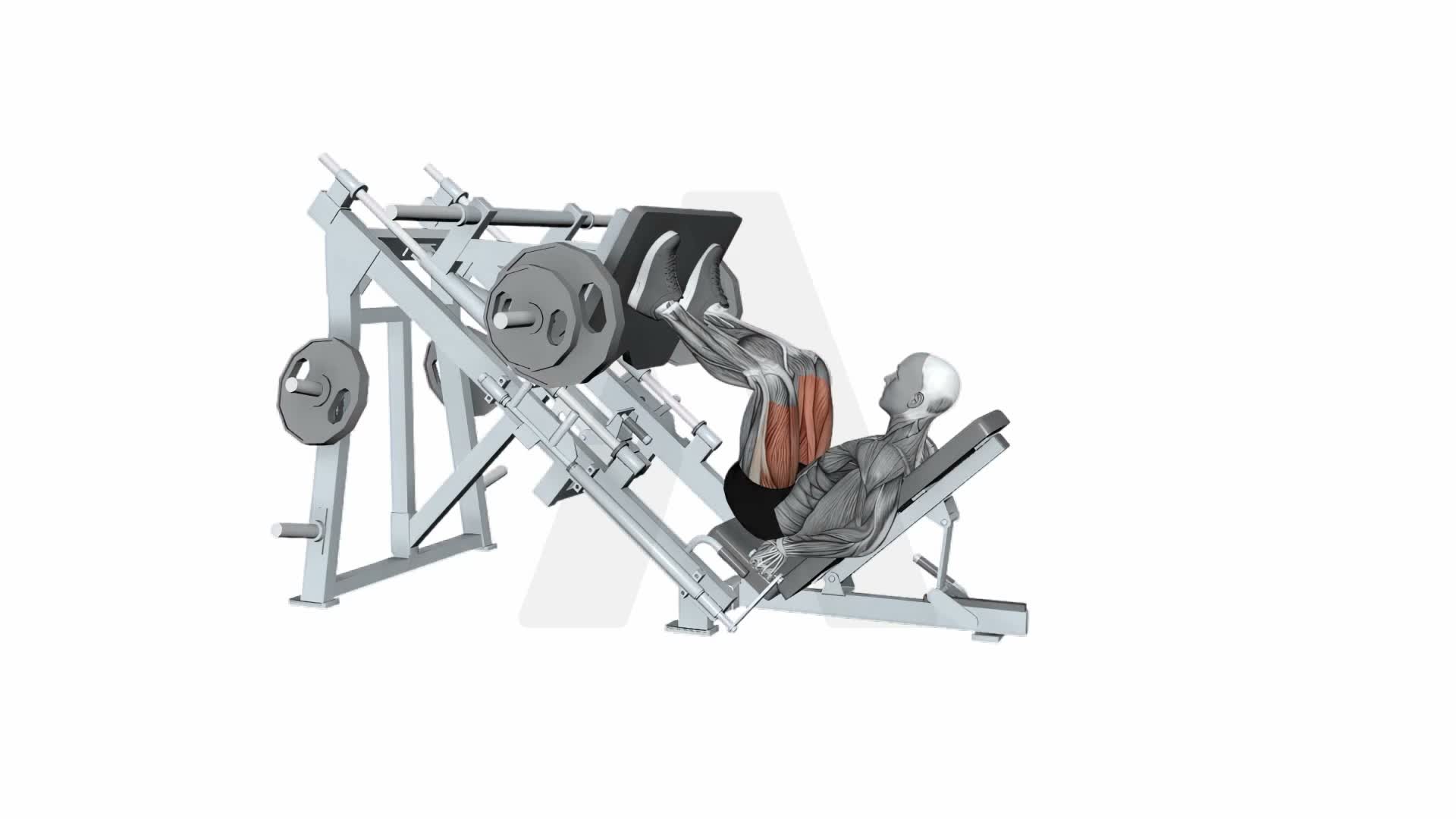Leg Press exercise demonstration