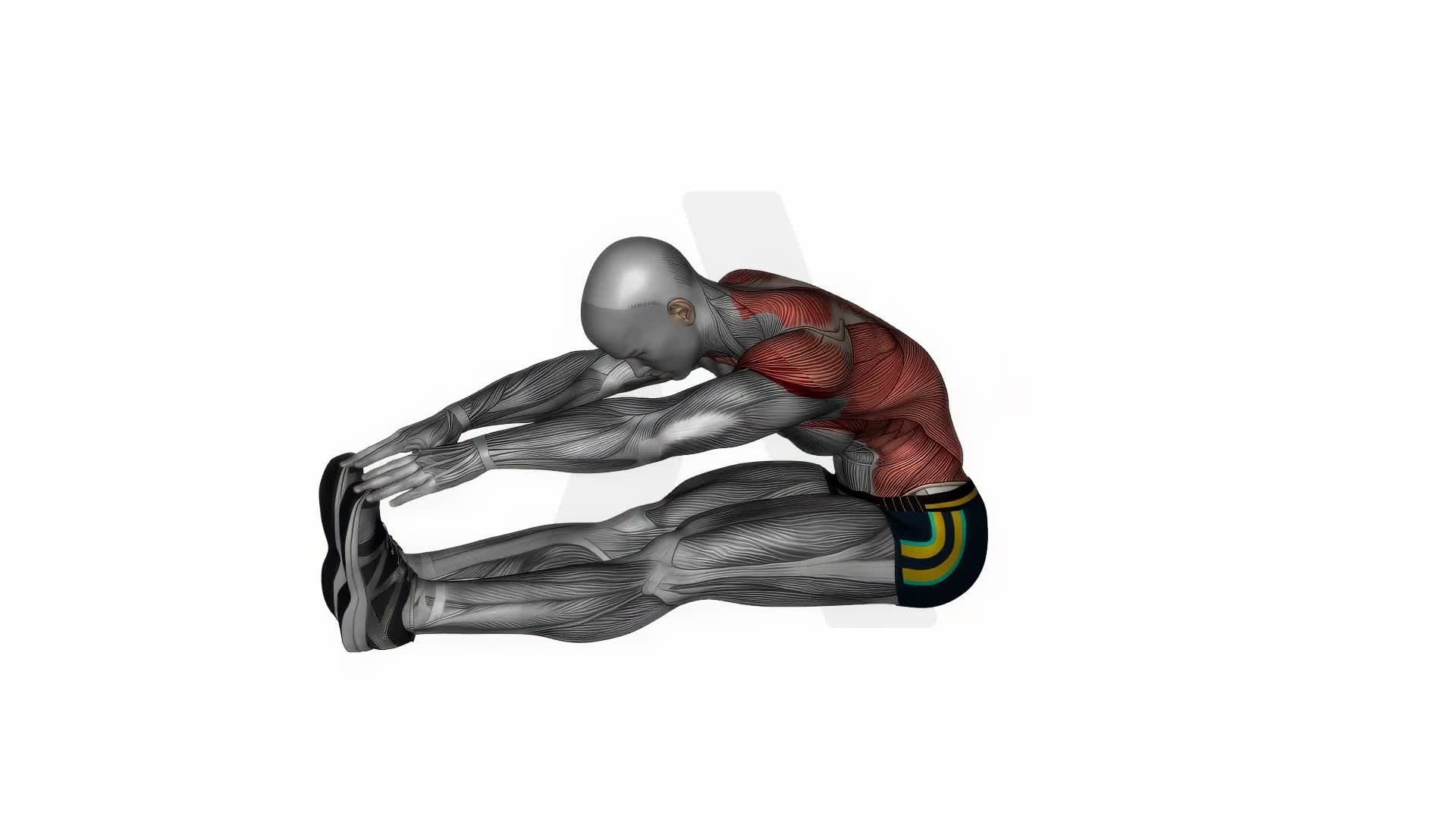 Legs Hand Reach Spine Stretch exercise demonstration