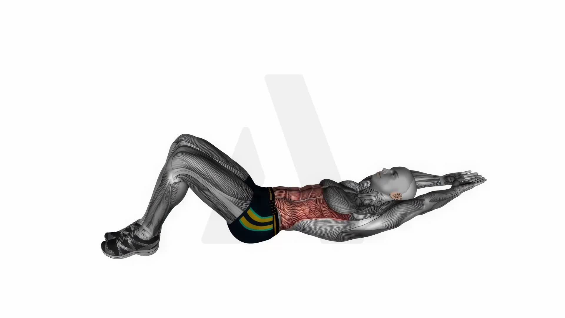Long Arm Crunches exercise demonstration