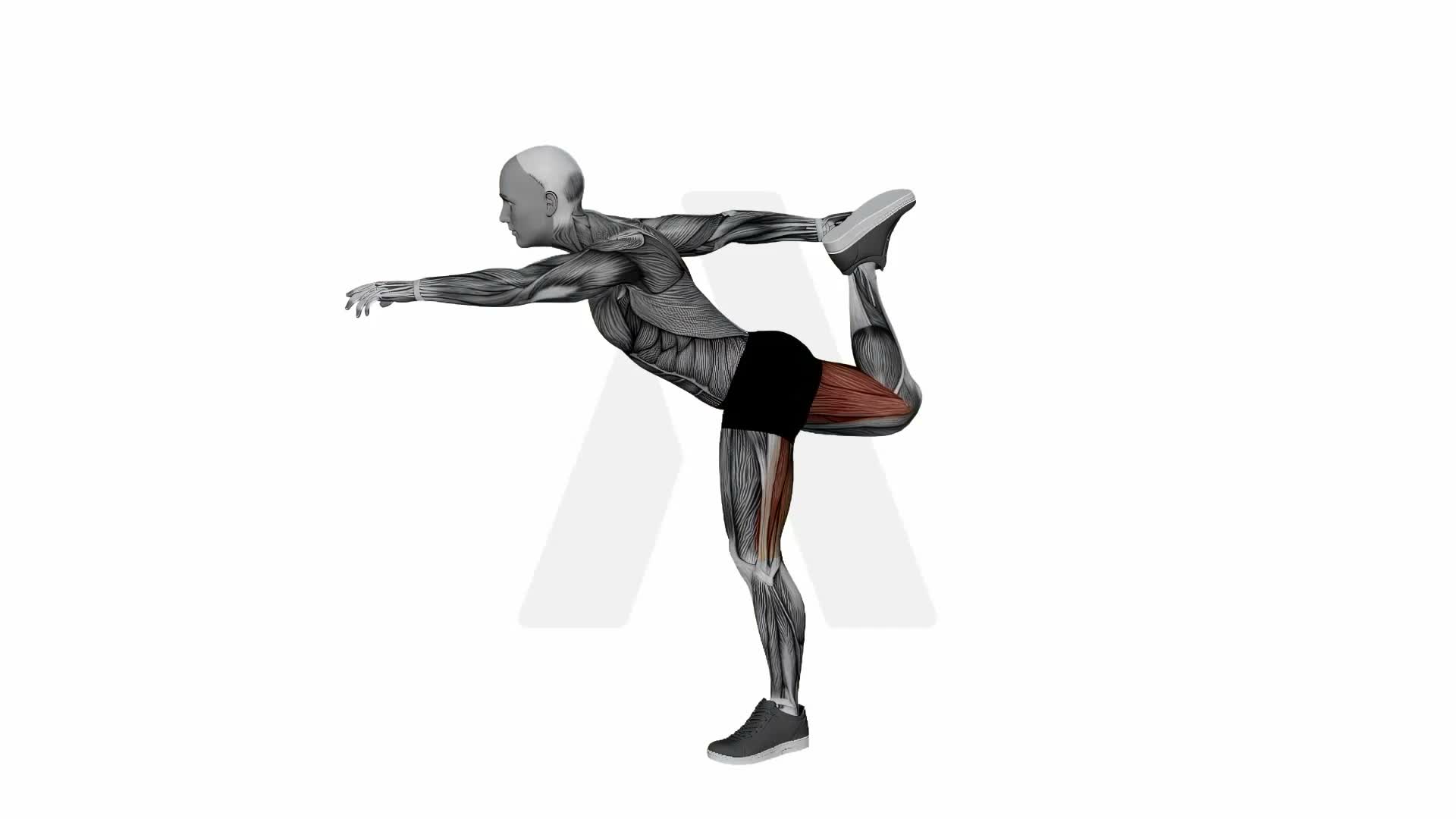 Lord Of The Dance exercise demonstration