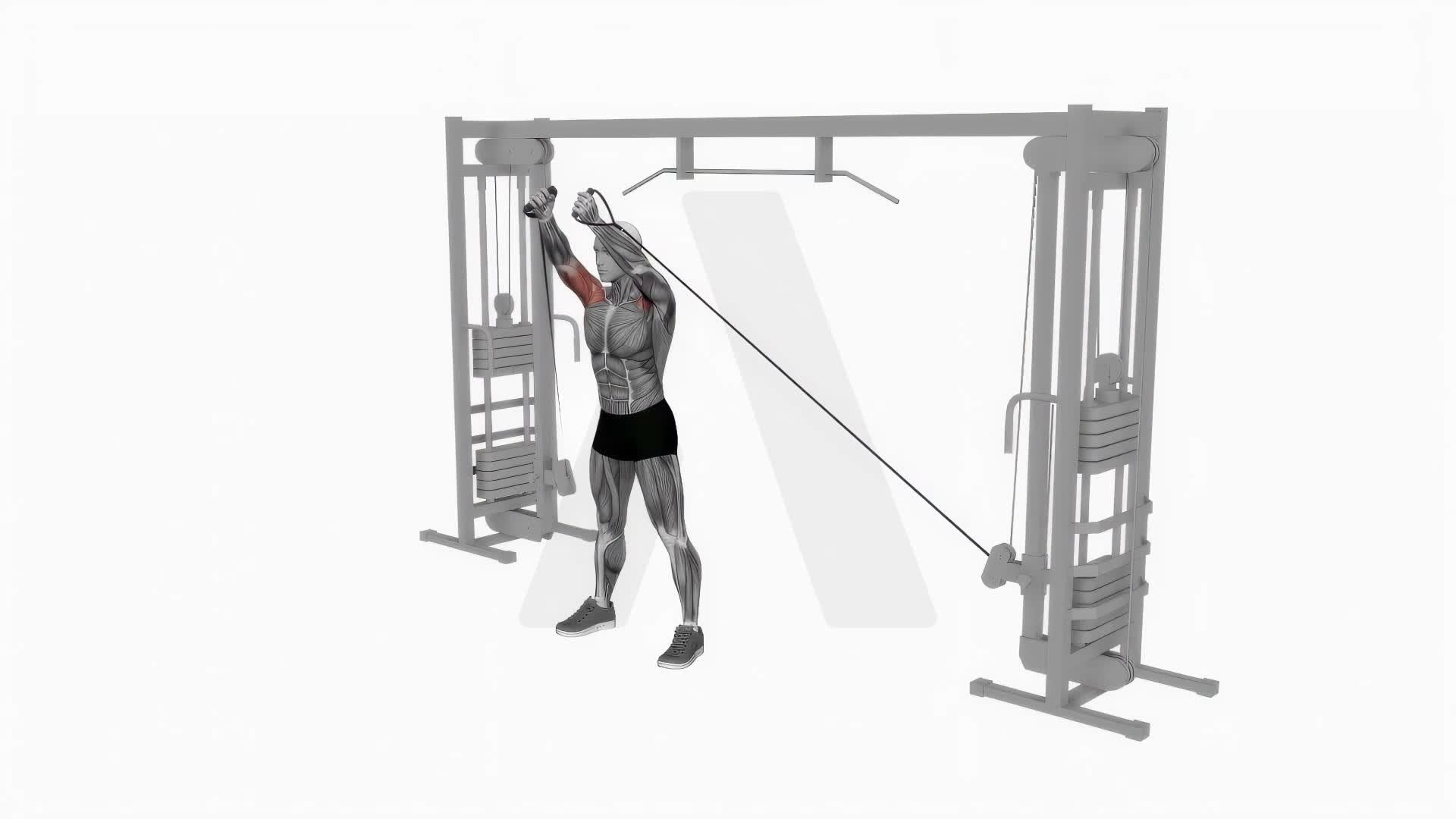 Low Cable Overhead Flyes exercise demonstration