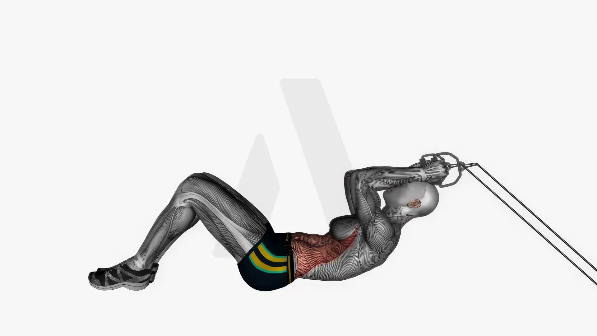 Lying Abs Resistance Band exercise demonstration