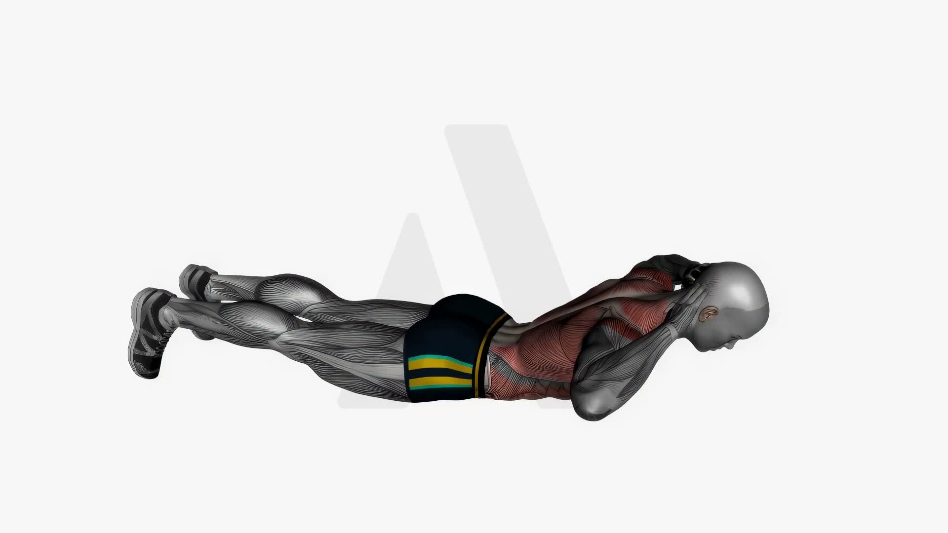 Lying Back Extension exercise demonstration