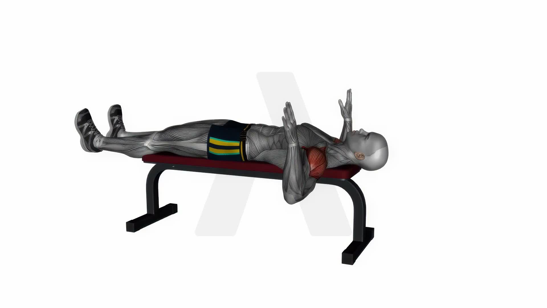 Lying Bench Internal Rotation Stretch exercise demonstration