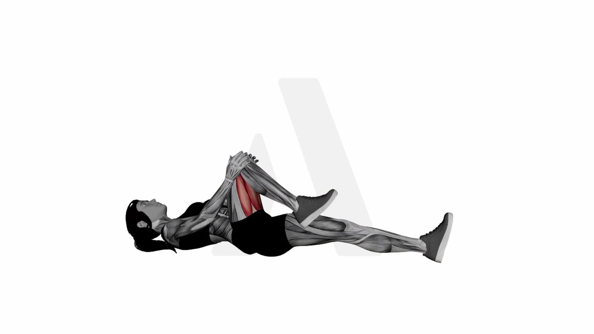 Lying Knee Pull Glutes Stretch exercise demonstration