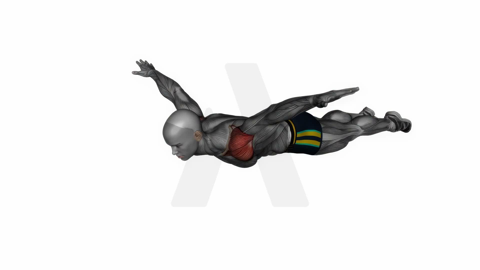 Lying Lateral Raises Bodyweight exercise demonstration