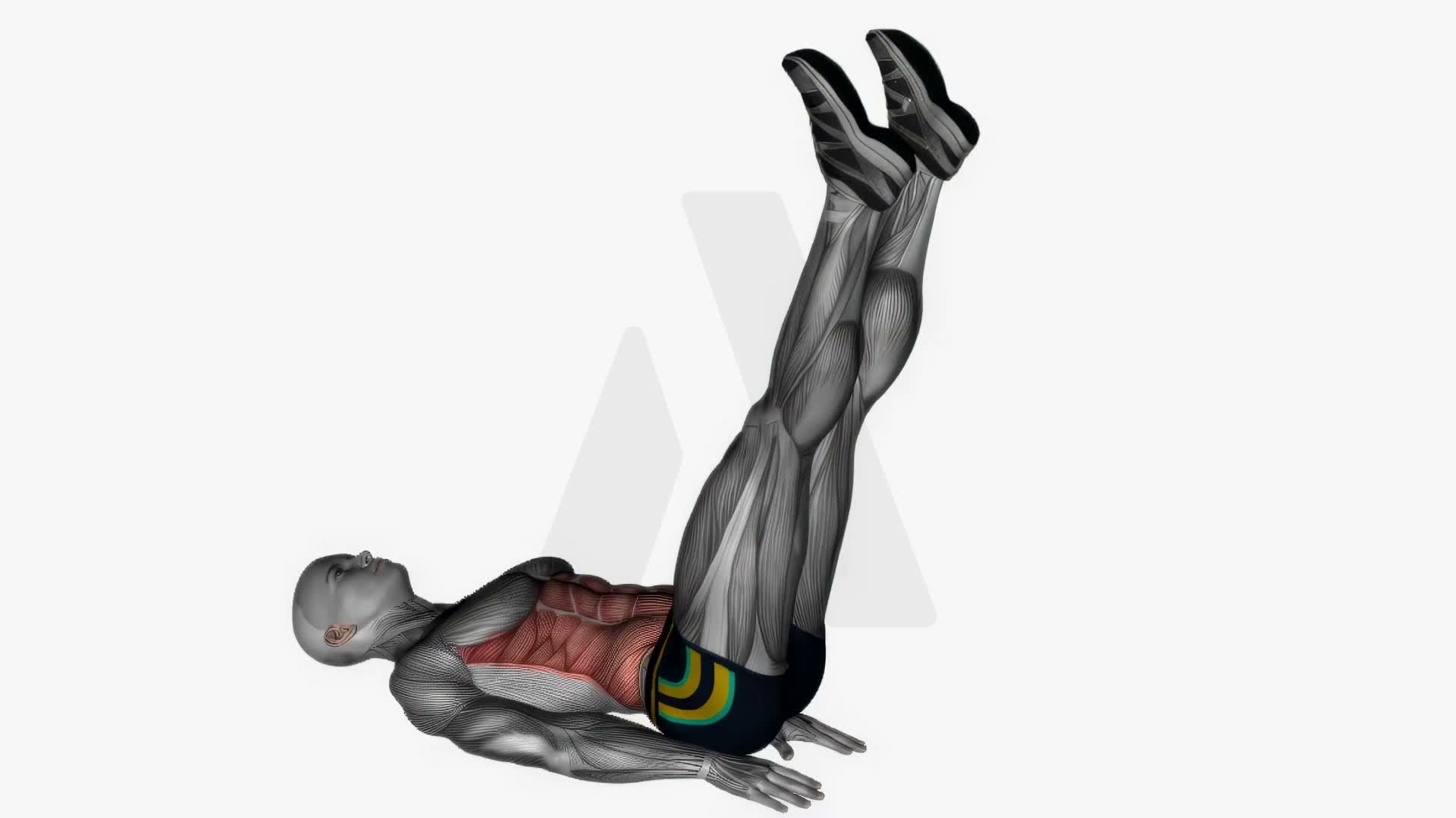 Lying Leg Raise exercise demonstration