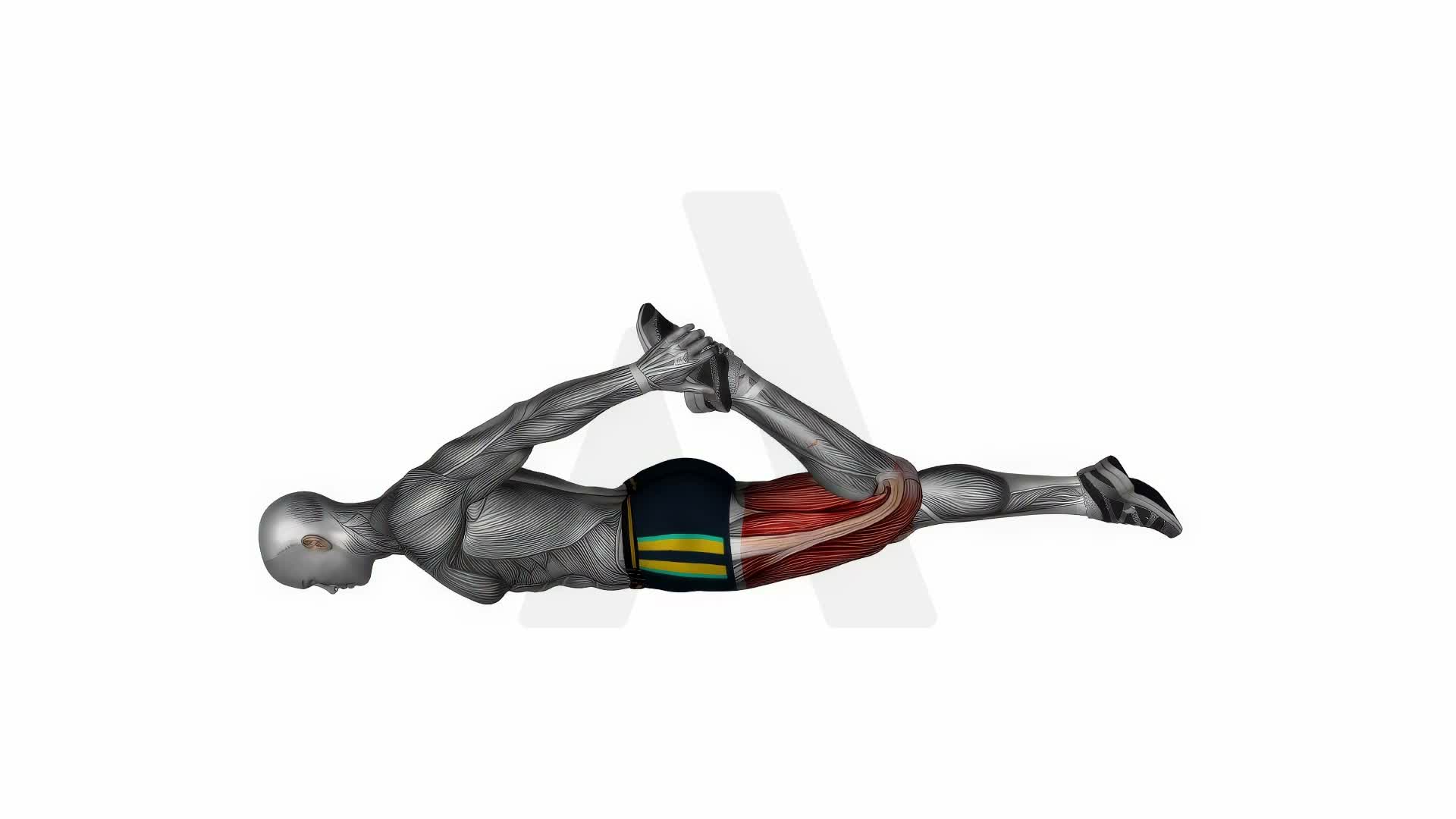 Lying Quadriceps Stretch exercise demonstration