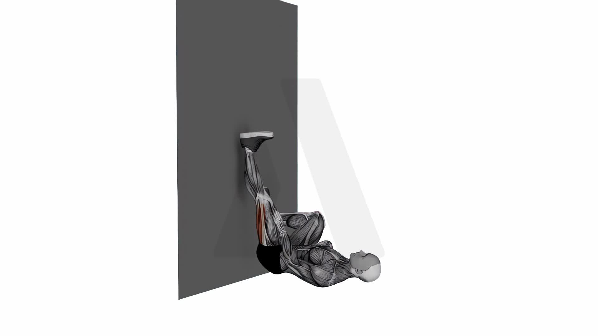 Lying Single Leg Extended On Wall Hamstrings Stretch exercise demonstration