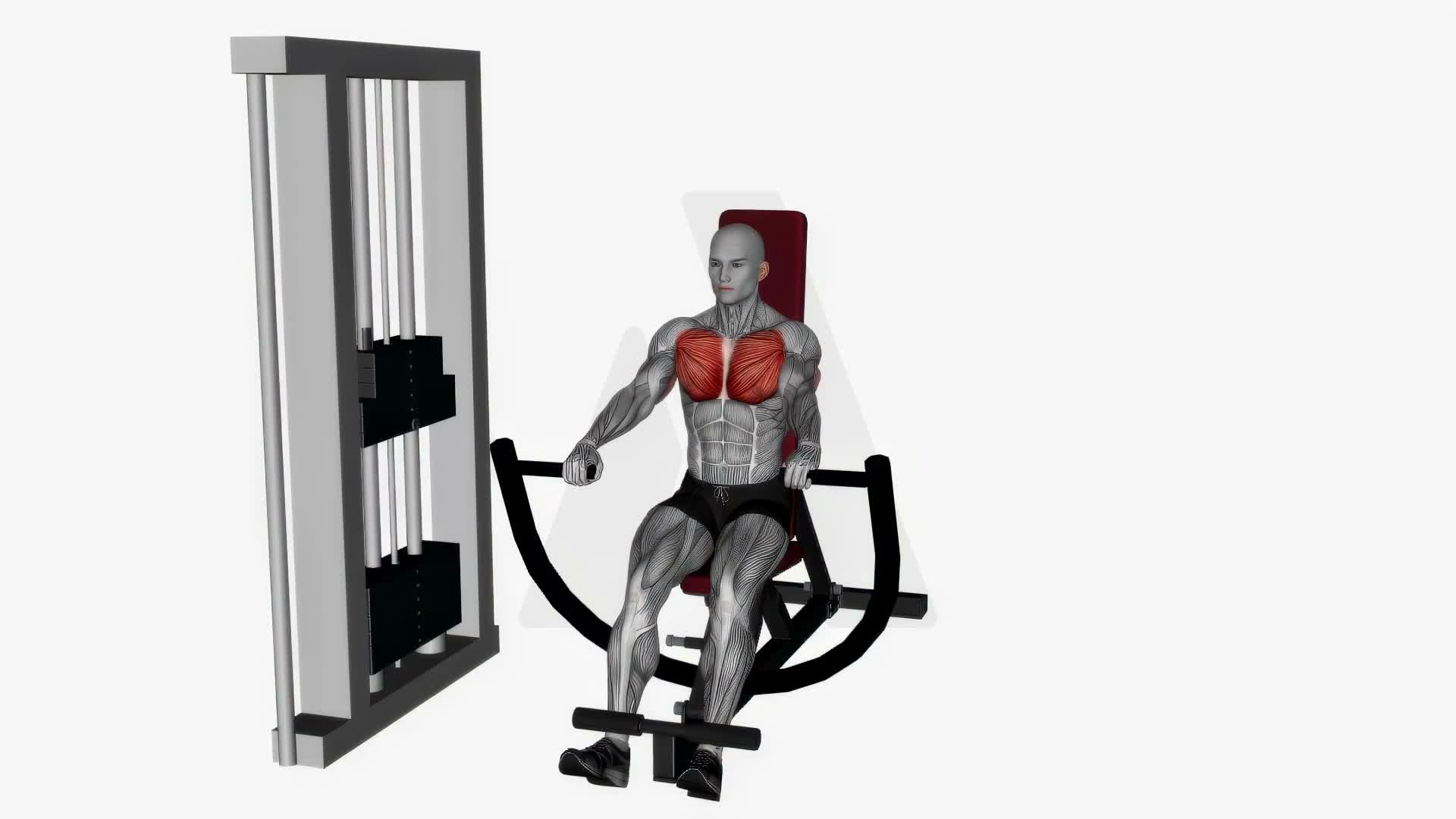 Machine Chest Press Decline exercise demonstration