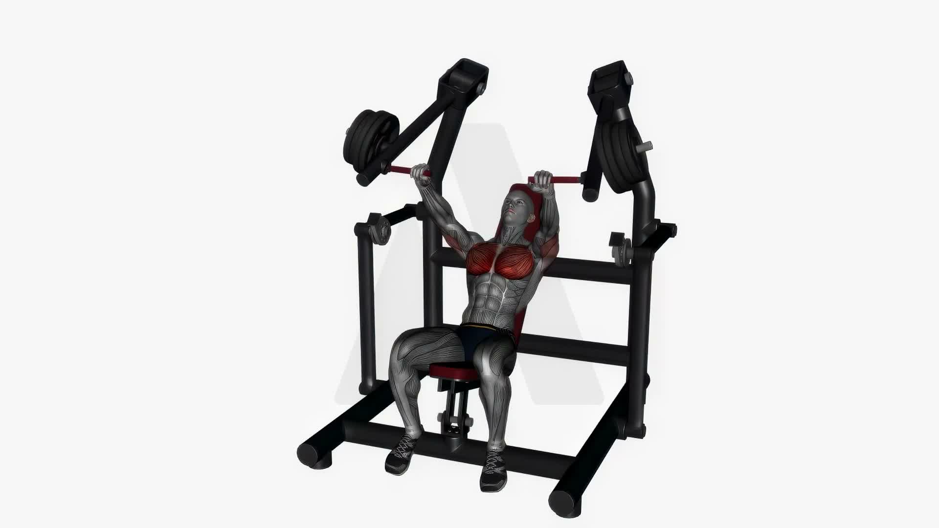 Machine Chest Press Incline exercise demonstration
