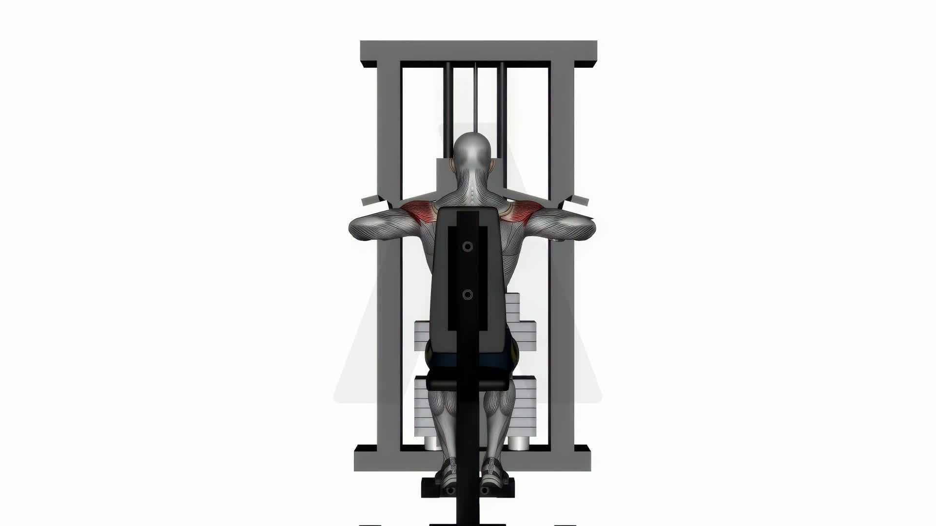 Machine Lateral Raise exercise demonstration