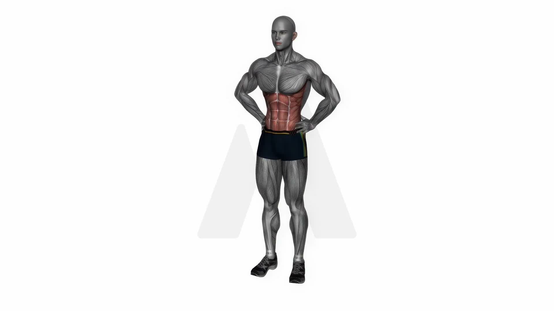 Middle Back Rotation Stretch exercise demonstration