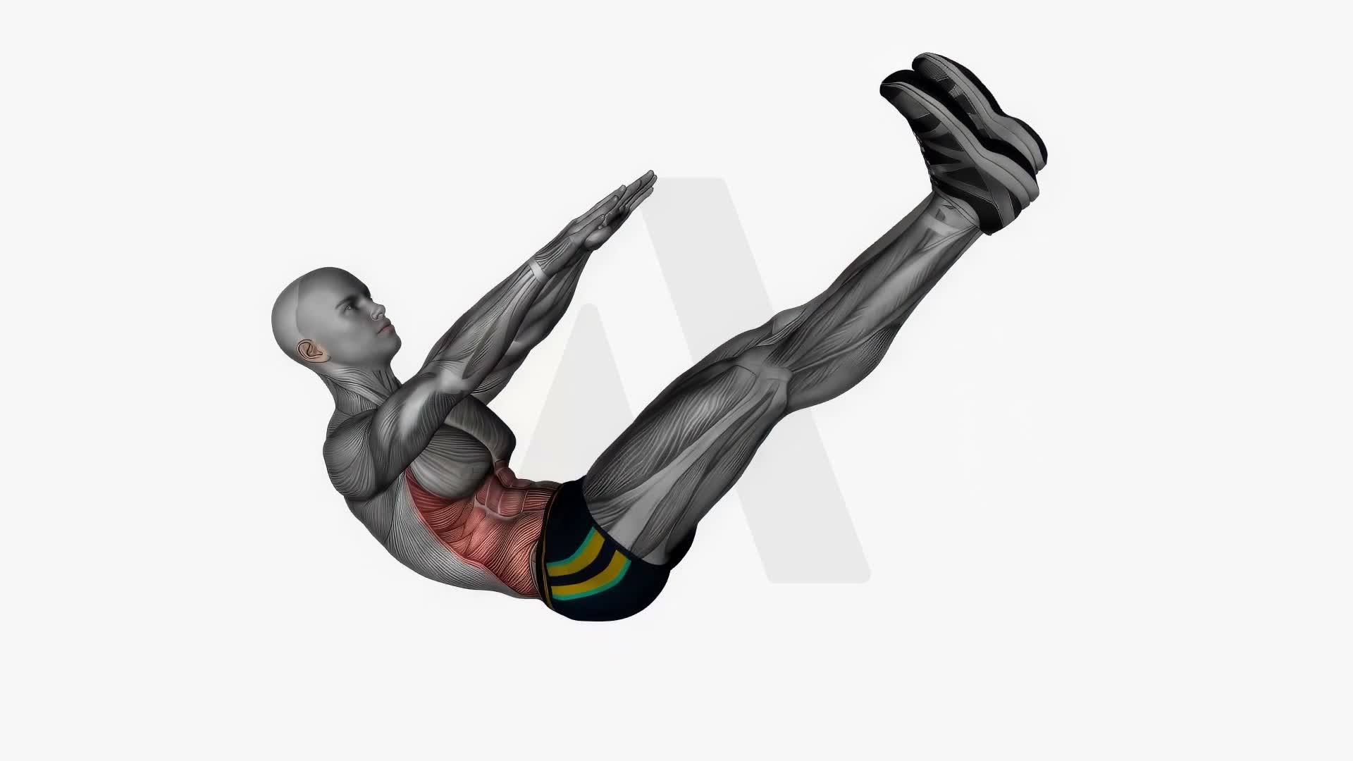 Middle Crunches exercise demonstration