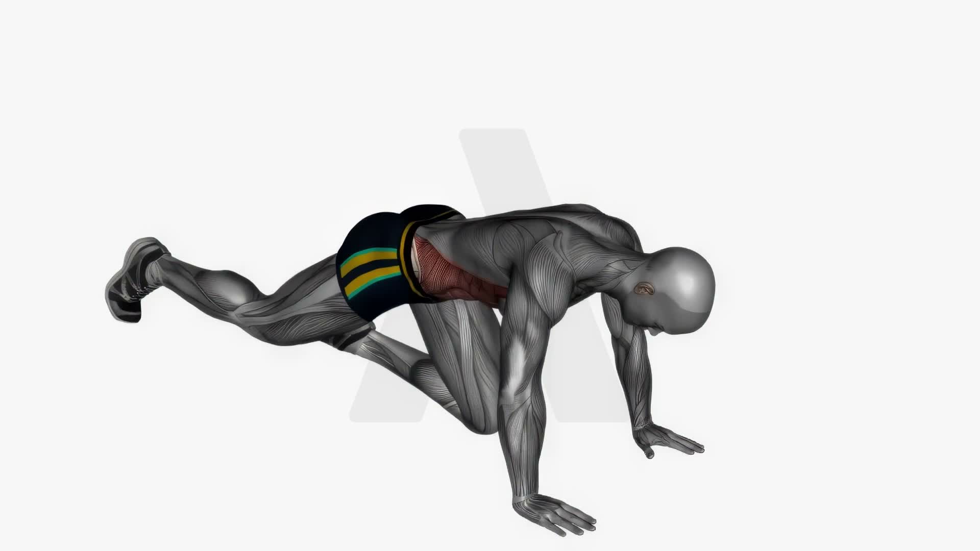 Mountain Climbers exercise demonstration