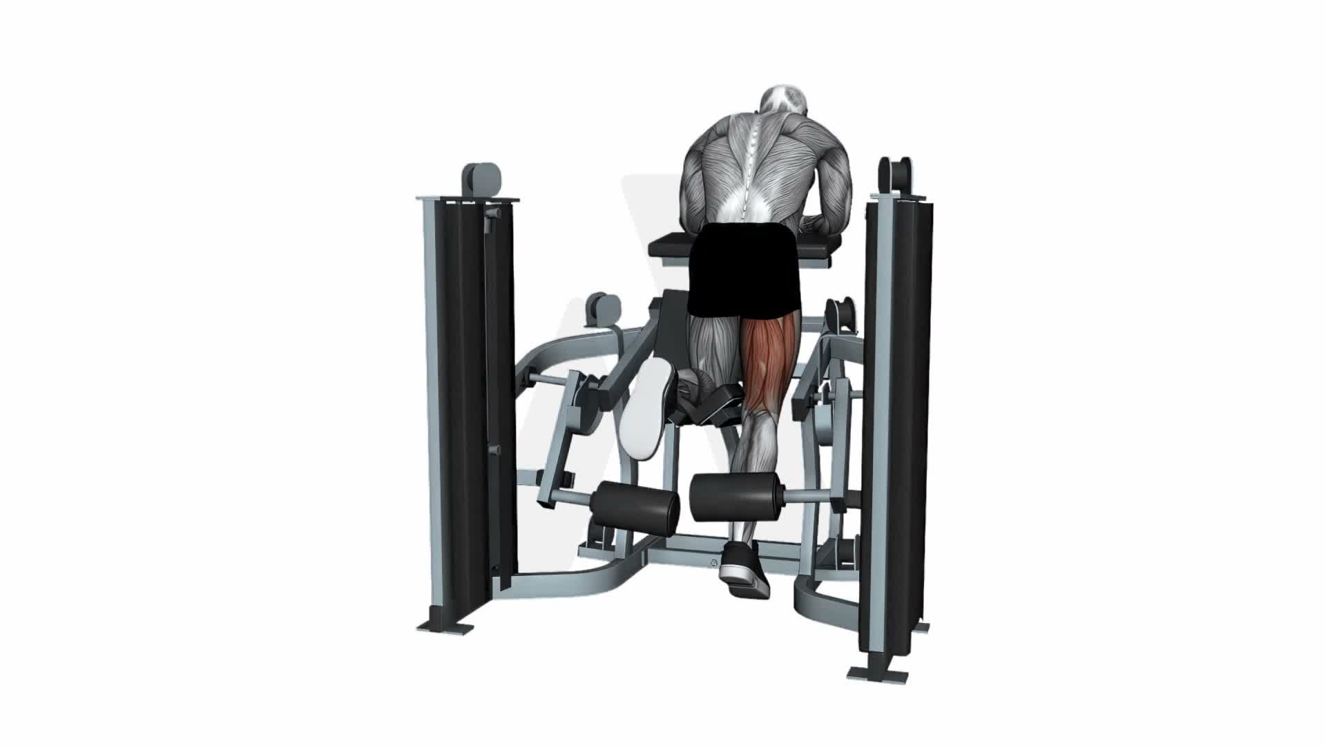 Mts Iso Lateral Kneeling Leg Curl exercise demonstration