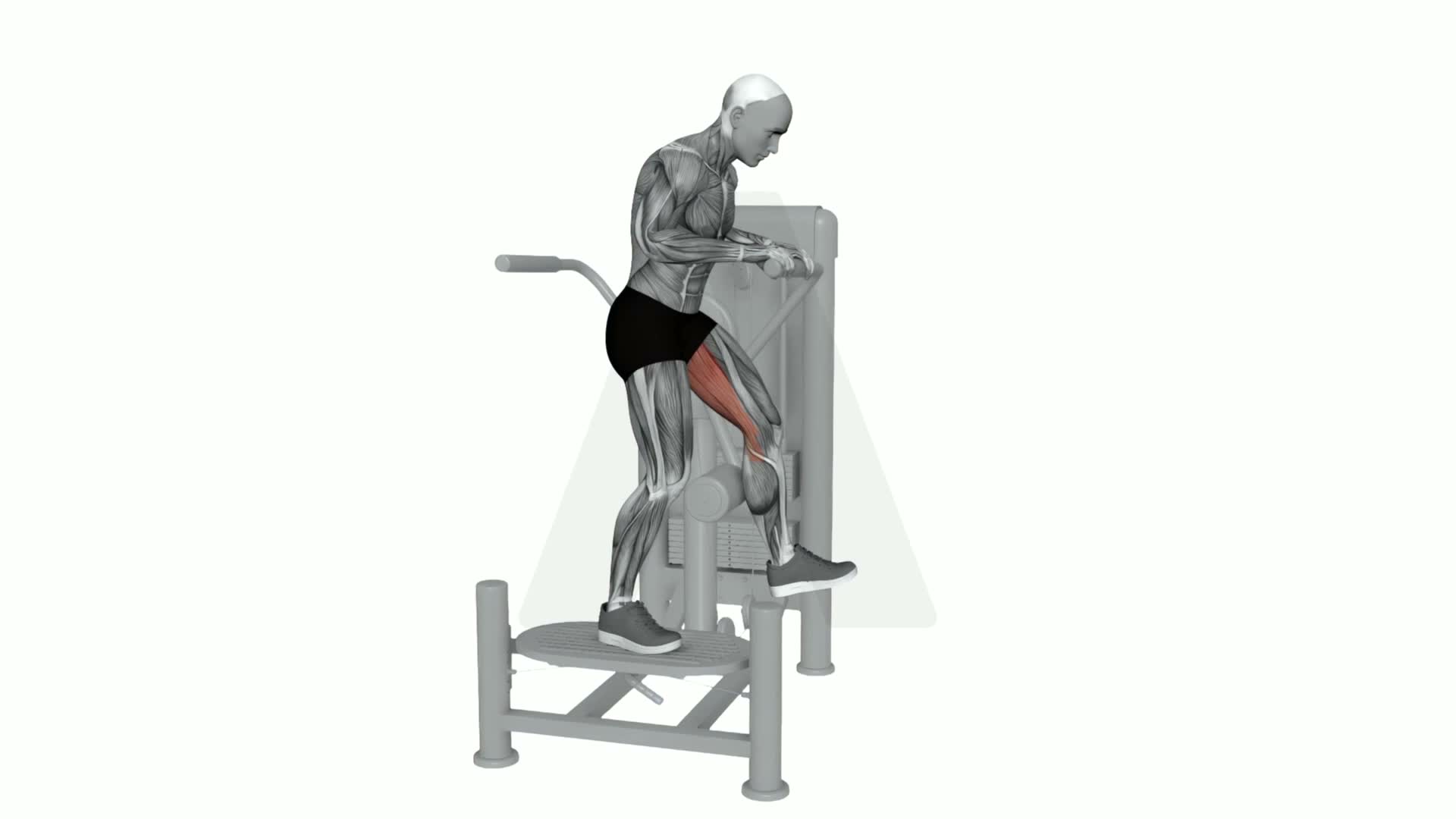 Multi Hip Glute Extension exercise demonstration