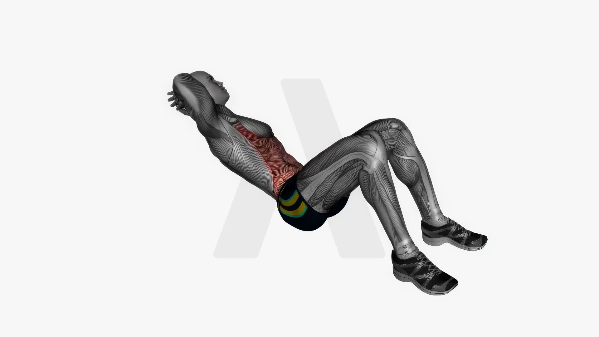 Oblique Crunch exercise demonstration