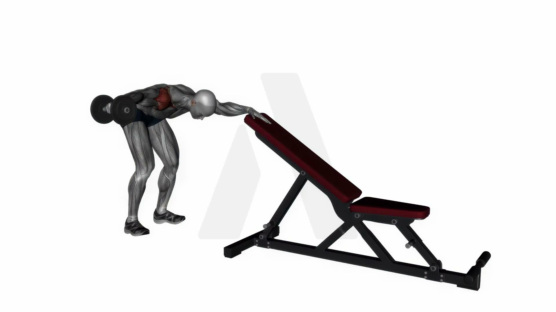 One Arm Reverse Dumbbell Fly exercise demonstration