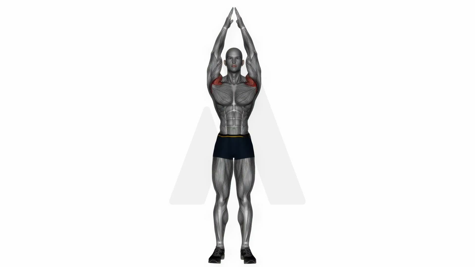 Overhand Clap exercise demonstration