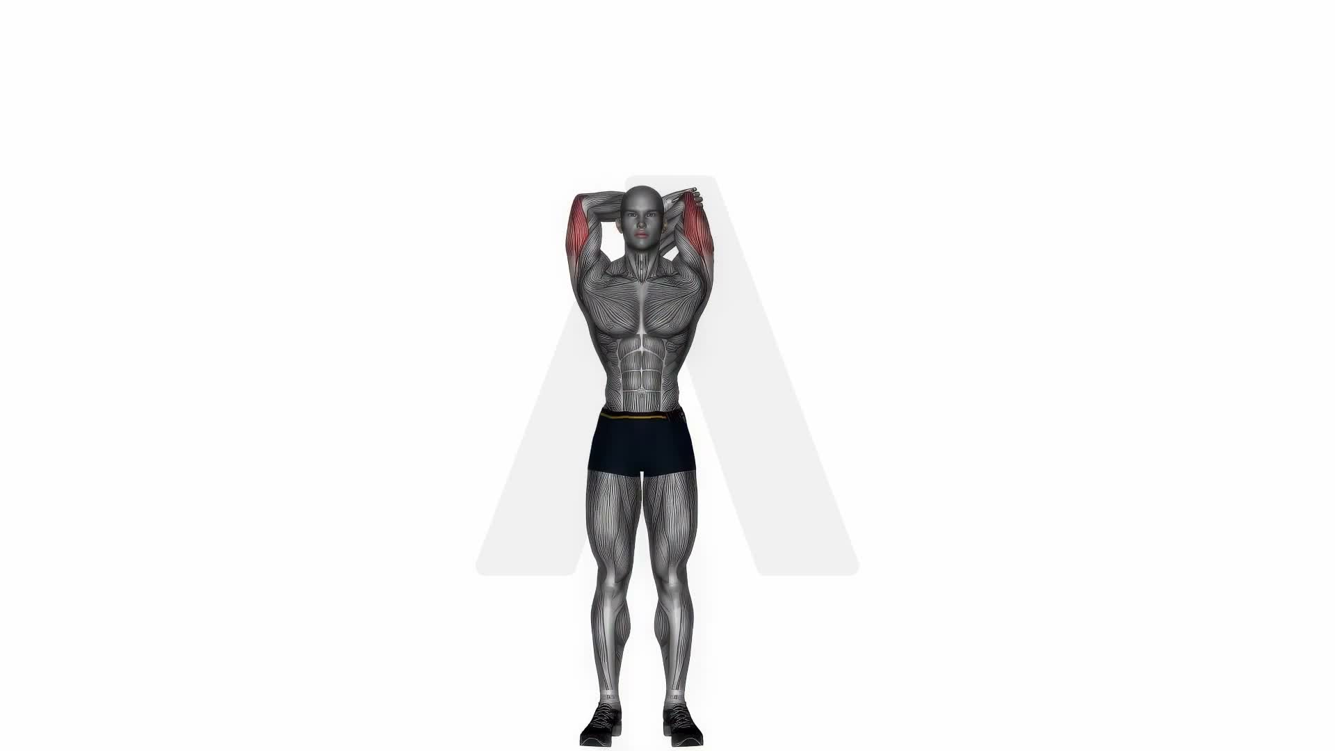 Overhand Tricep Stretching Single Arm exercise demonstration