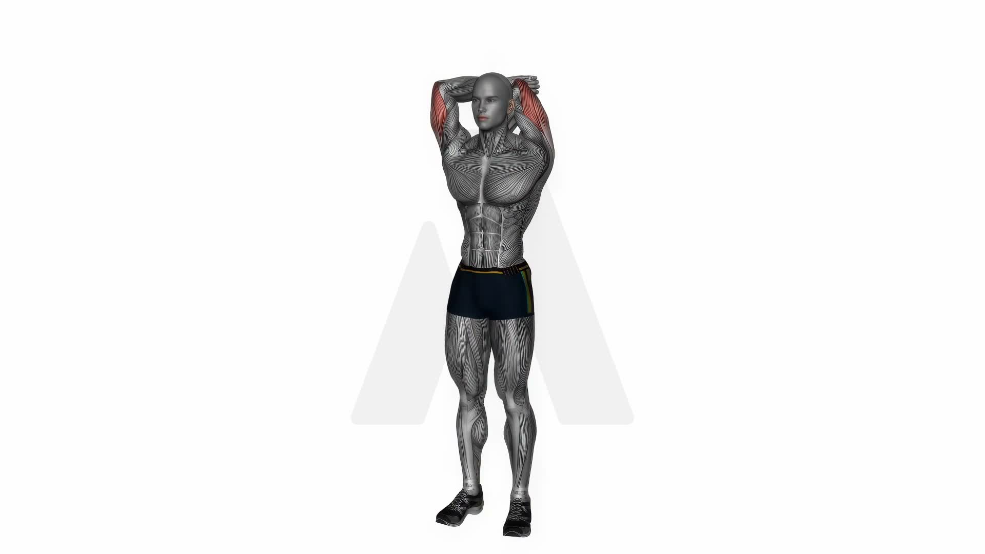 Overhead Triceps Stretch Side Angle exercise demonstration