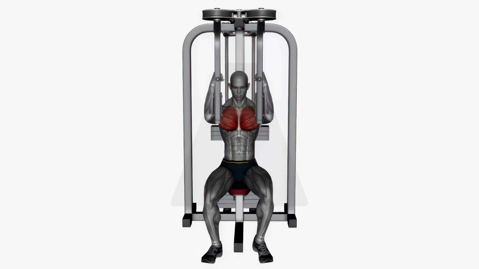 Pec Deck Fly Machine exercise demonstration